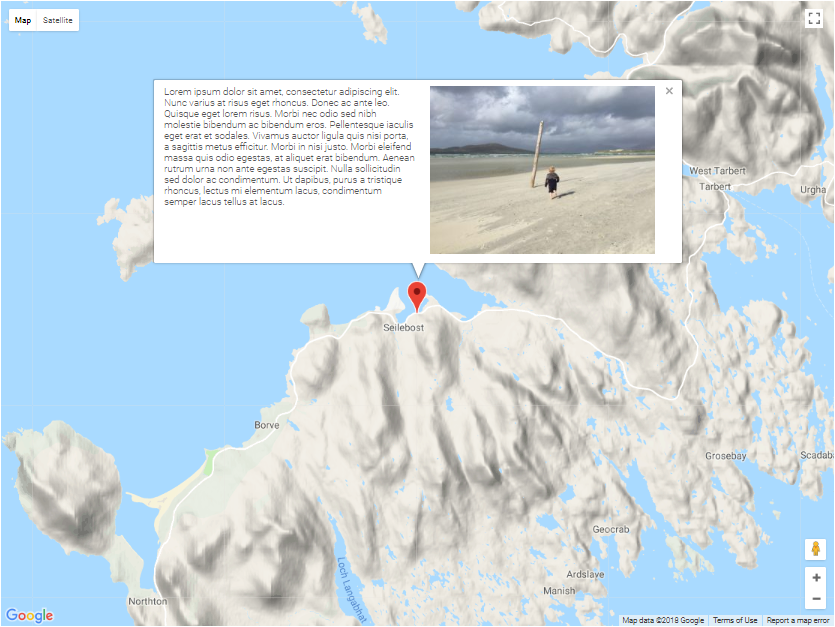 Example Googlemap