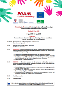 June 2020 POAM Experts' Workshop